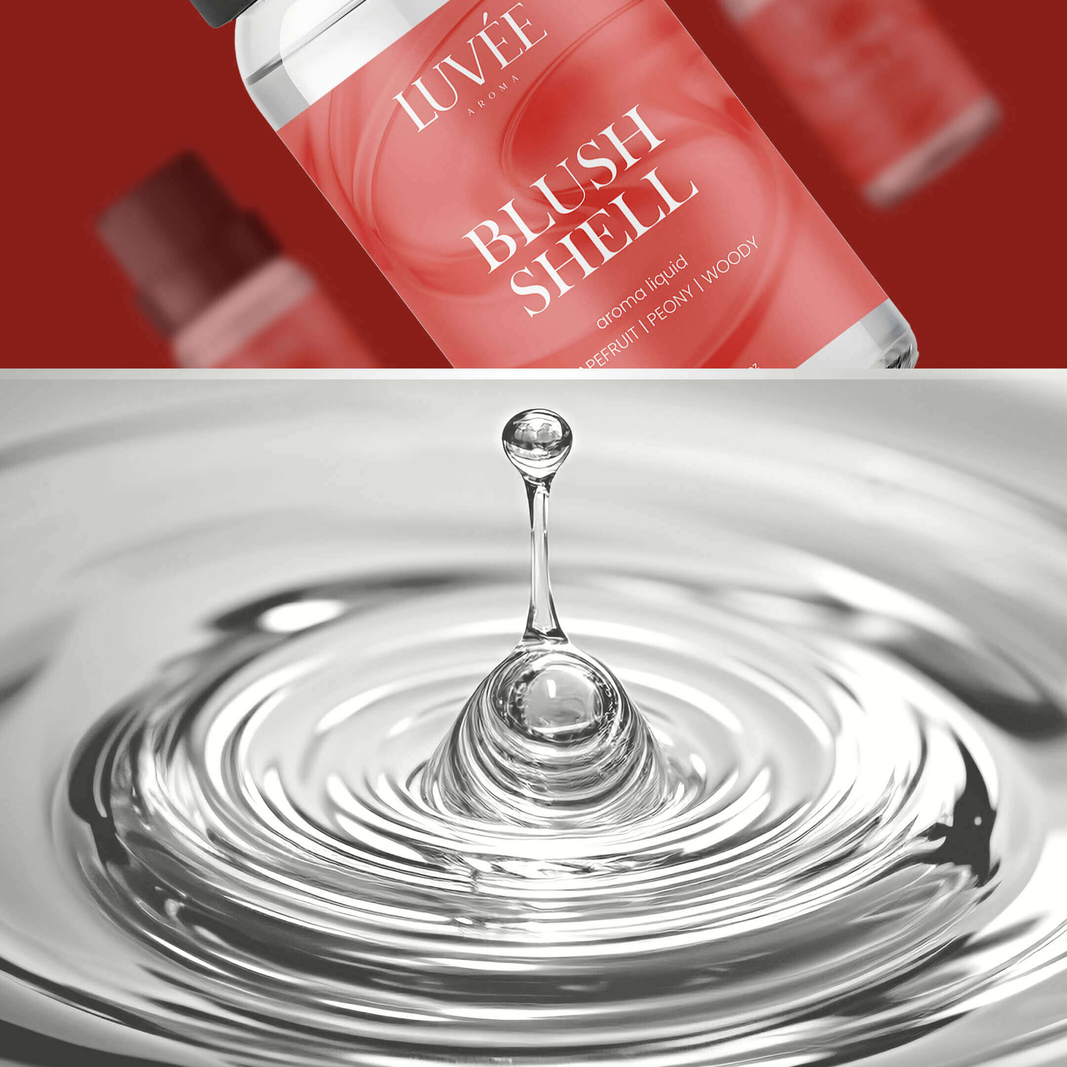 Blush Shell Liquid Aroma – Feminine and Fresh Scented Oil by Luvée